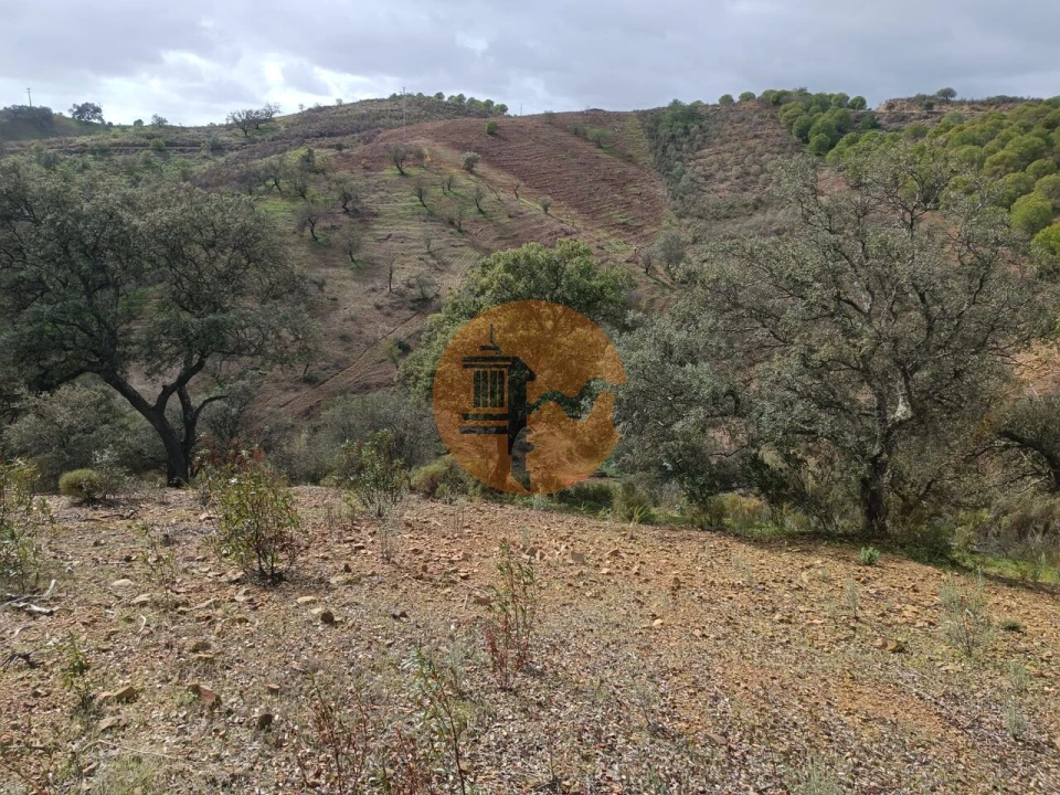Terreno para Venda em Azinhal Foto 33