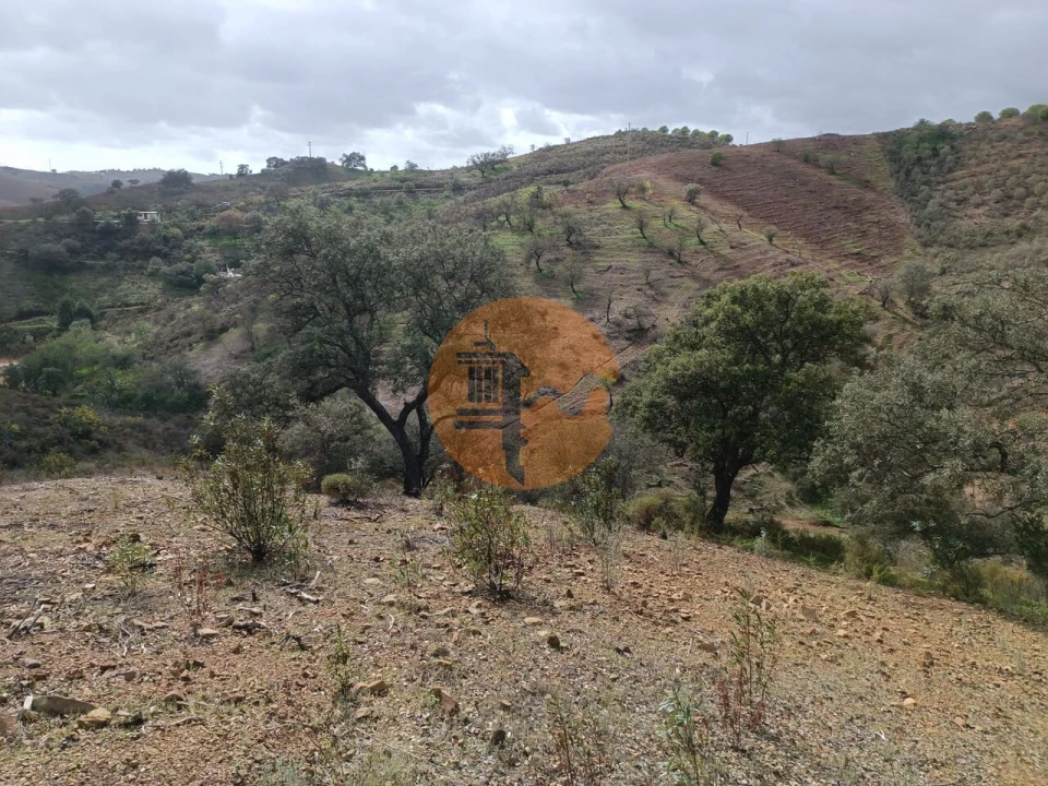 Terreno para Venda em Azinhal Foto 34