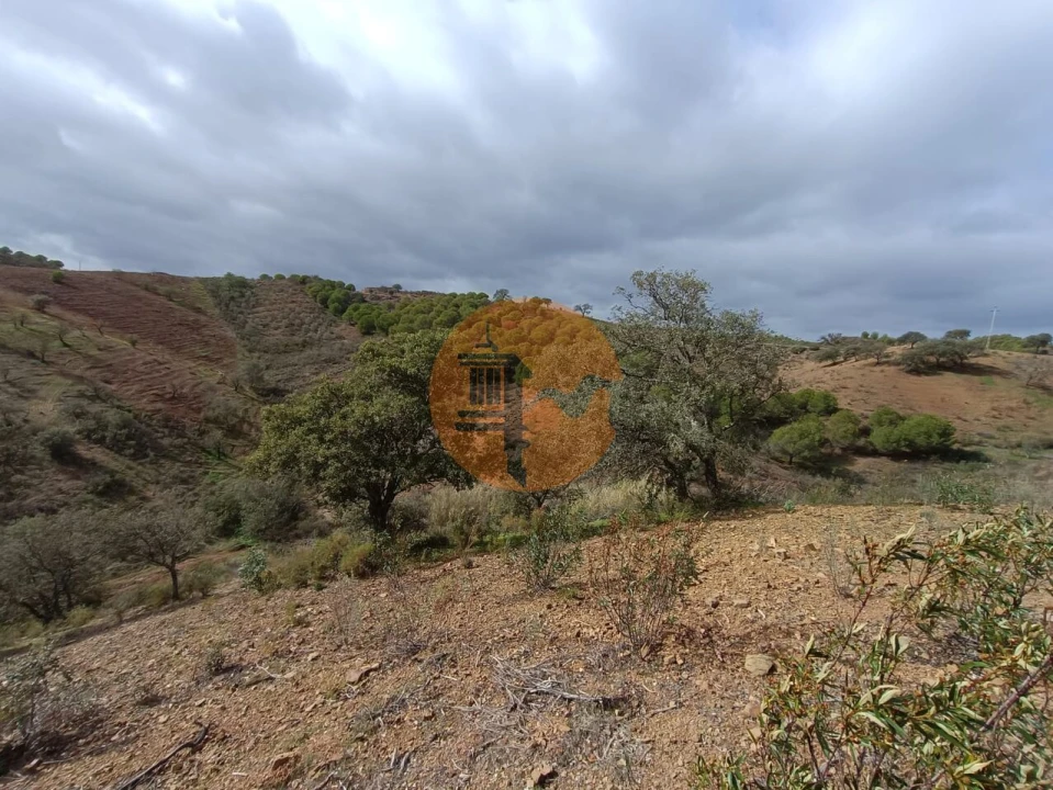 Terreno para Venda em Azinhal Foto 42