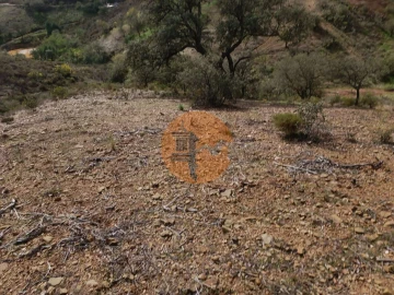 Terreno para Venda em Azinhal