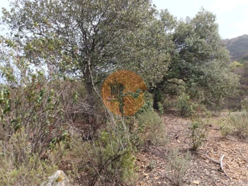 Terreno para Venda em Azinhal