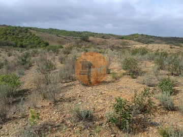 Terreno para Venda em Azinhal