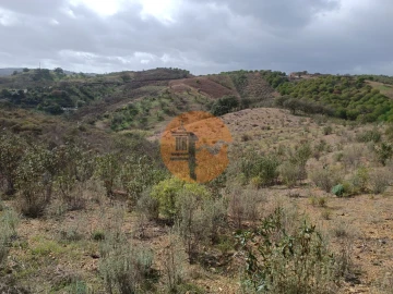 Terreno para Venda em Azinhal