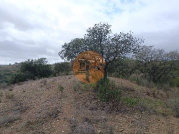Terreno para Venda em Azinhal