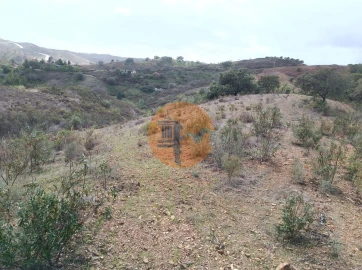 Terreno para Venda em Azinhal