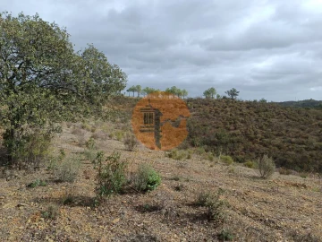 Terreno para Venda em Azinhal