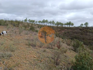 Terreno para Venda em Azinhal