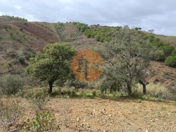 Terreno para Venda em Azinhal