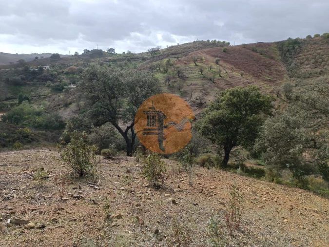 Terreno para Venda em Azinhal Foto 10