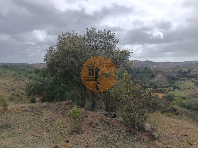 Terreno para Venda em Azinhal Foto 12