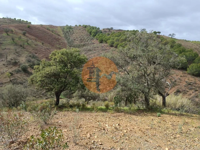 Terreno para Venda em Azinhal Foto 16
