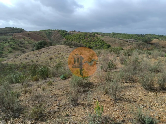 Terreno para Venda em Azinhal Foto 19