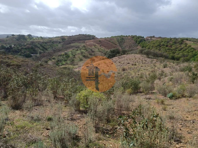 Terreno para Venda em Azinhal Foto 22