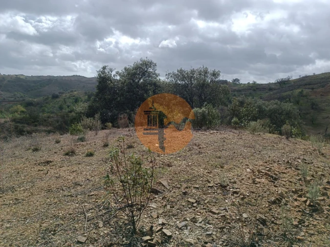 Terreno para Venda em Azinhal Foto 29