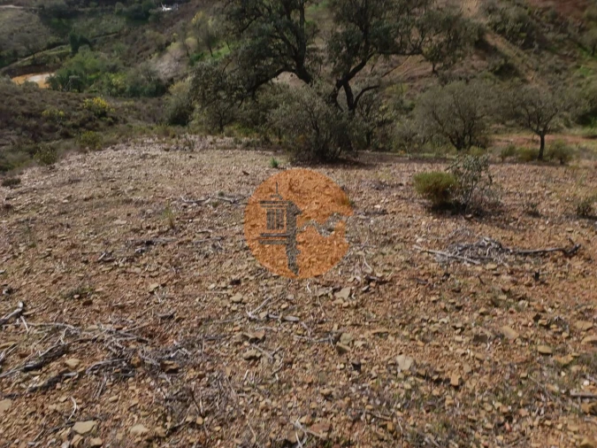Terreno para Venda em Azinhal Foto 39