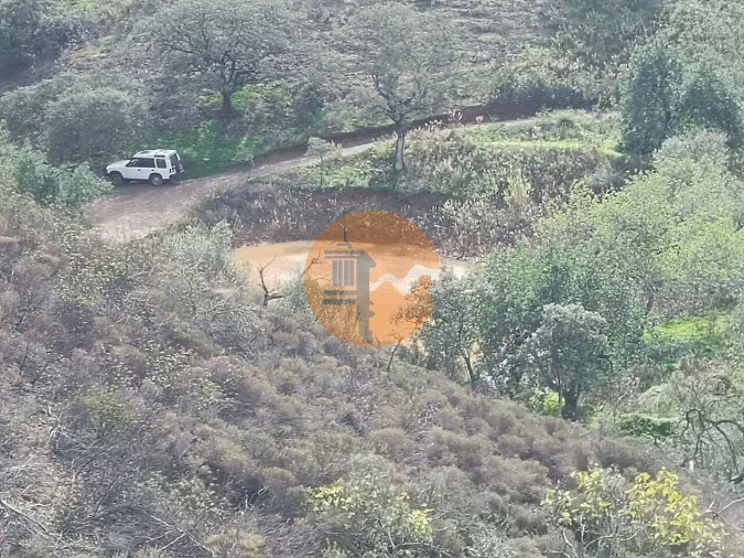Terreno para Venda em Azinhal Foto 40