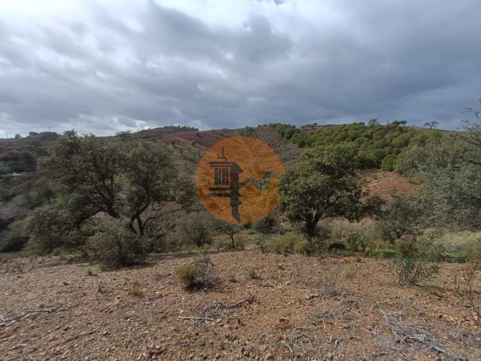 Terreno para Venda em Azinhal Foto 41