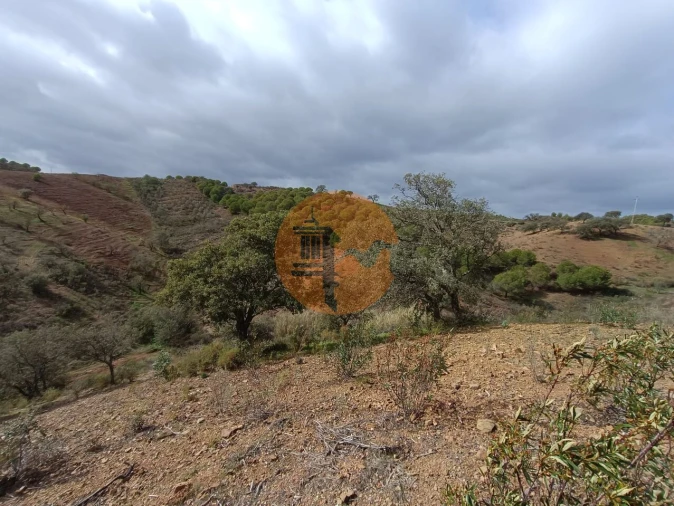 Terreno para Venda em Azinhal Foto 42
