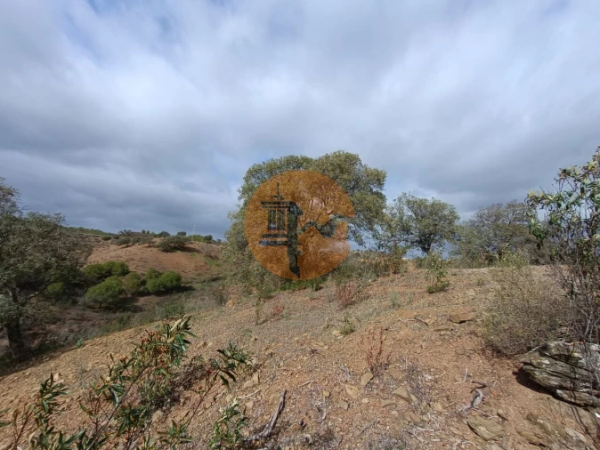 Terreno para Venda em Azinhal Foto 43