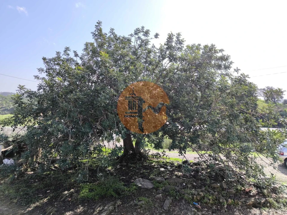 Moradia T1 para Venda em Castro Marim Foto 2