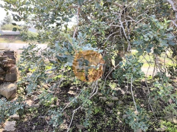 Moradia T1 para Venda em Castro Marim