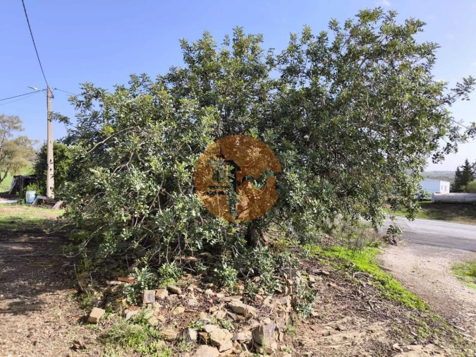 Moradia T1 para Venda em Castro Marim Foto 26