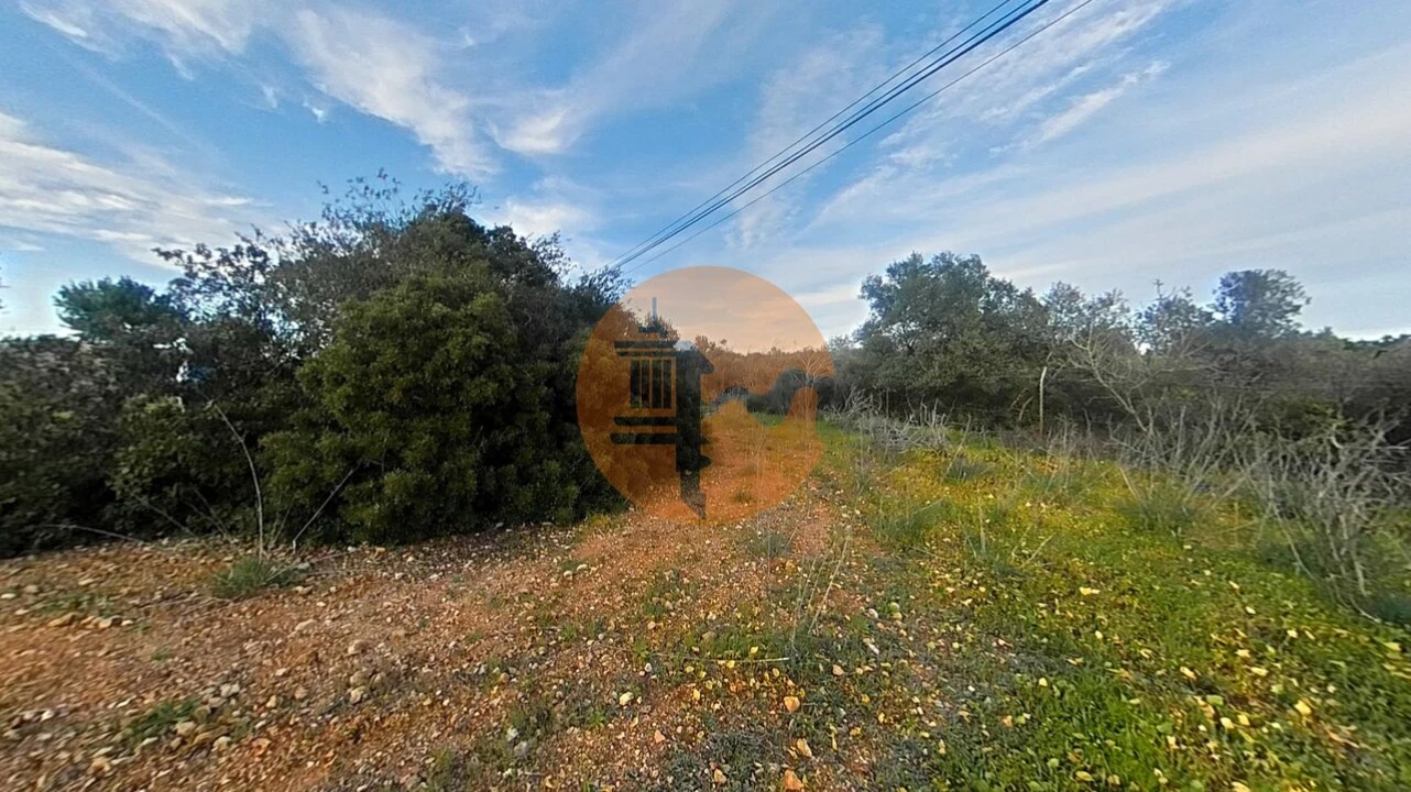 Terreno para Venda em Pechão Foto 6