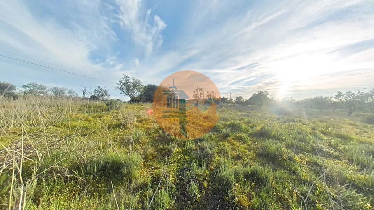 Terreno para Venda em Pechão Foto 8