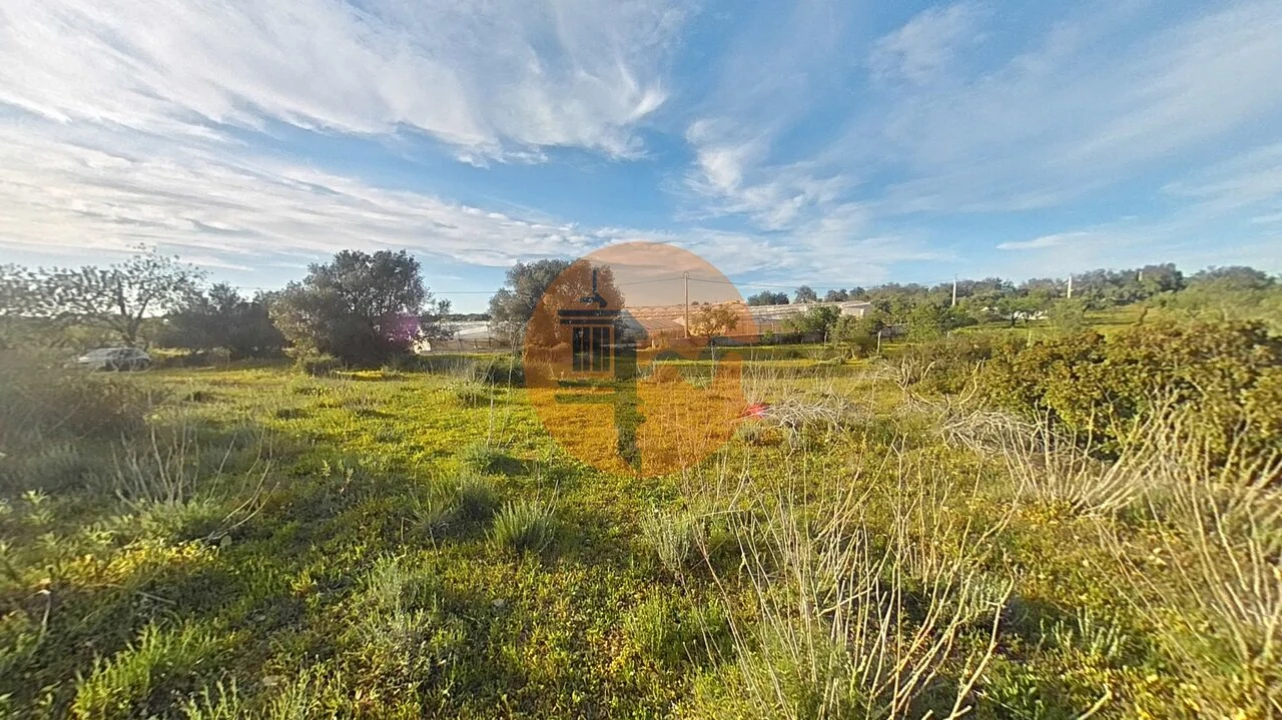 Terreno para Venda em Pechão Foto 3