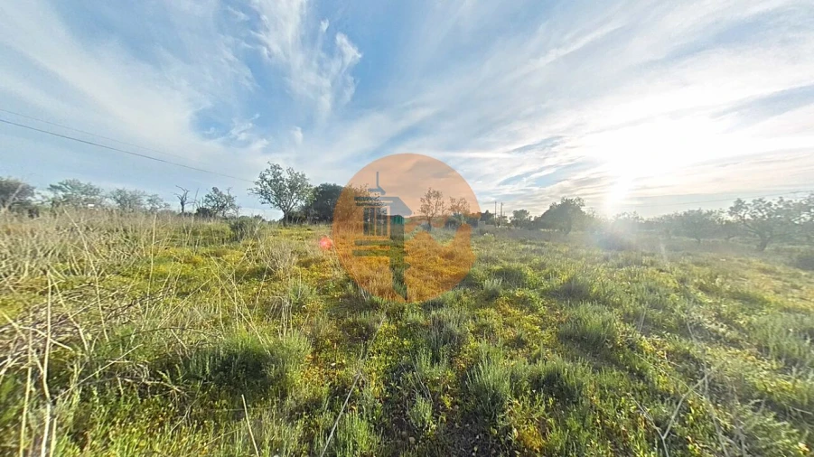Terreno para Venda em Pechão Foto 8
