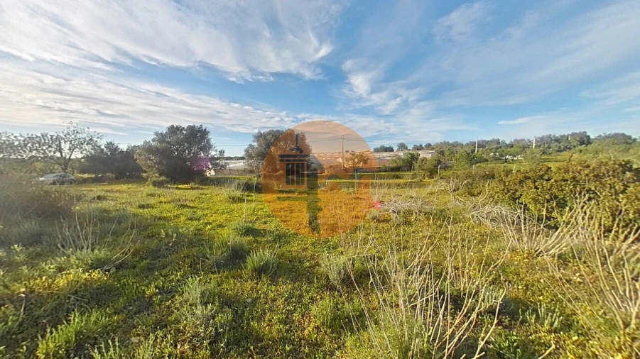 Terreno para Venda em Pechão Foto 3