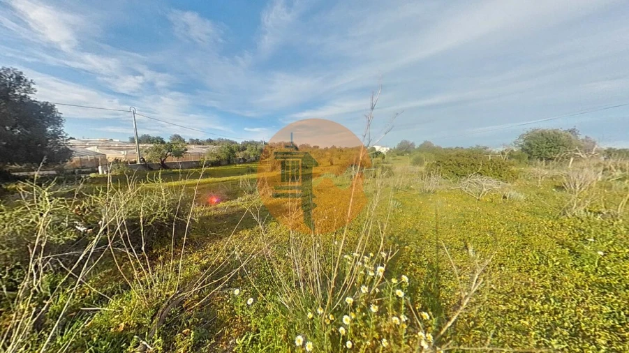 Terreno para Venda em Pechão Foto 11