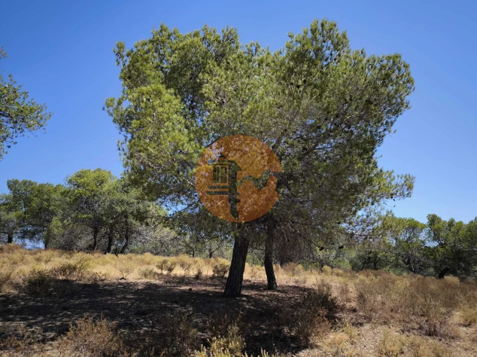 Terreno para Venda em Castro Marim Foto 1