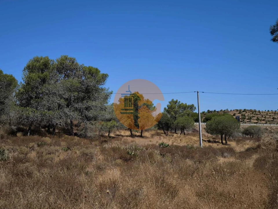 Terreno para Venda em Castro Marim Foto 3