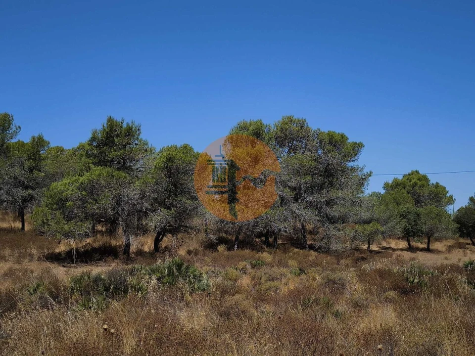 Terreno para Venda em Castro Marim Foto 5