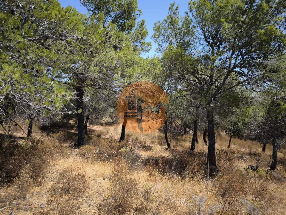 Terreno para Venda em Castro Marim Foto 21