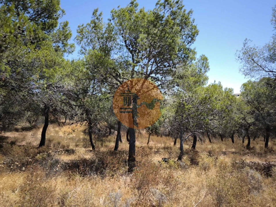 Terreno para Venda em Castro Marim Foto 23