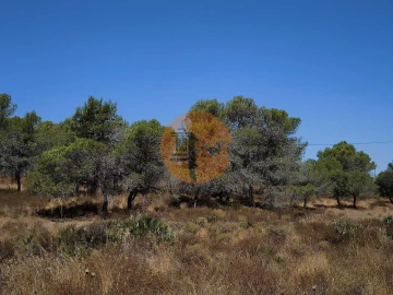 Terreno para Venda em Castro Marim