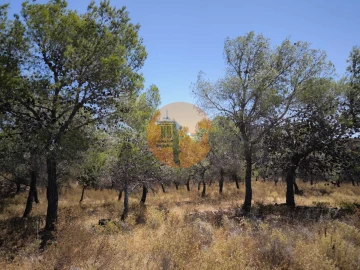 Terreno para Venda em Castro Marim