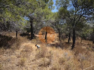 Terreno para Venda em Castro Marim
