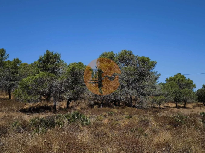 Terreno para Venda em Castro Marim Foto 5