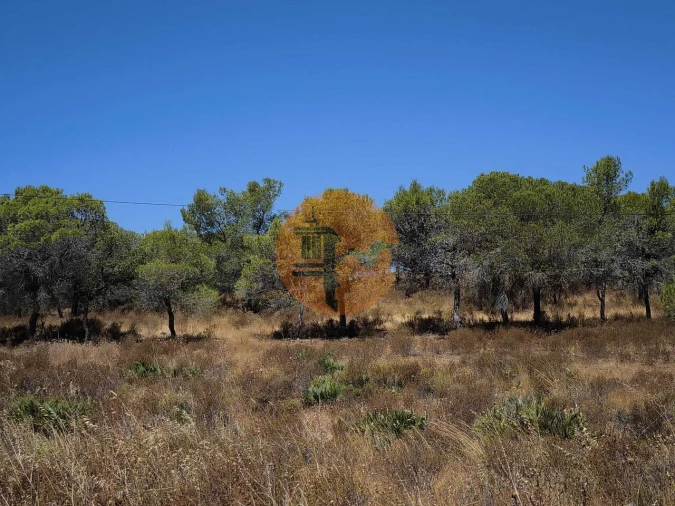 Terreno para Venda em Castro Marim Foto 7
