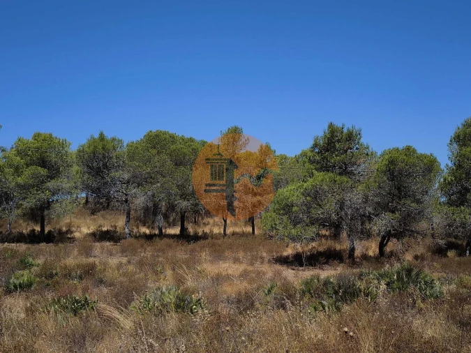 Terreno para Venda em Castro Marim Foto 8