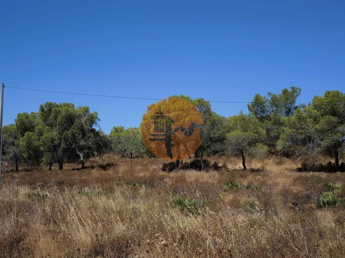 Terreno para Venda em Castro Marim Foto 10