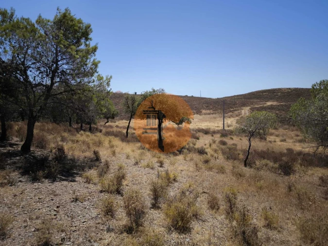 Terreno para Venda em Castro Marim Foto 17