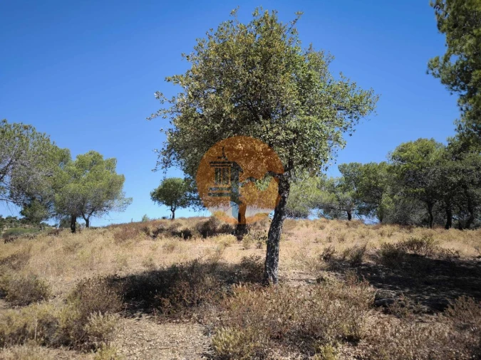 Terreno para Venda em Castro Marim Foto 20