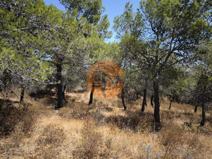 Terreno para Venda em Castro Marim Foto 21