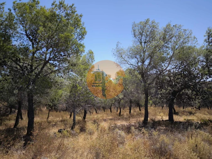 Terreno para Venda em Castro Marim Foto 24