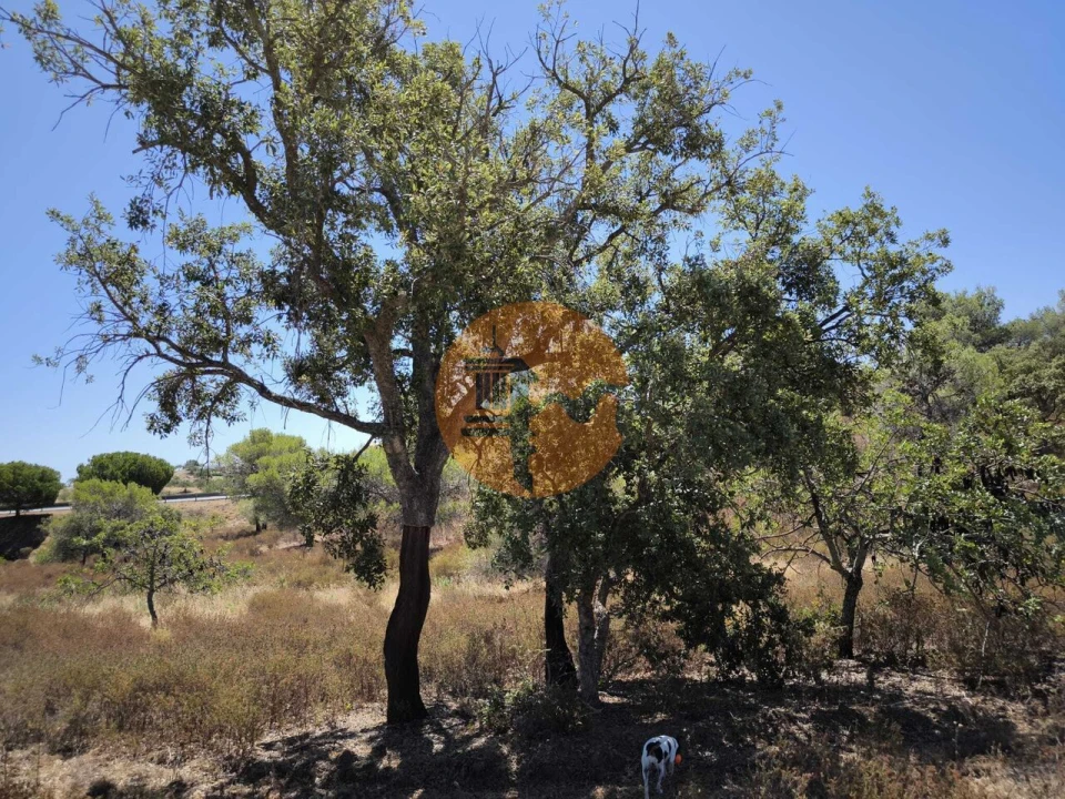Terreno para Venda em Castro Marim Foto 18