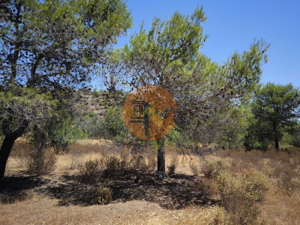 Terreno para Venda em Castro Marim Foto 20